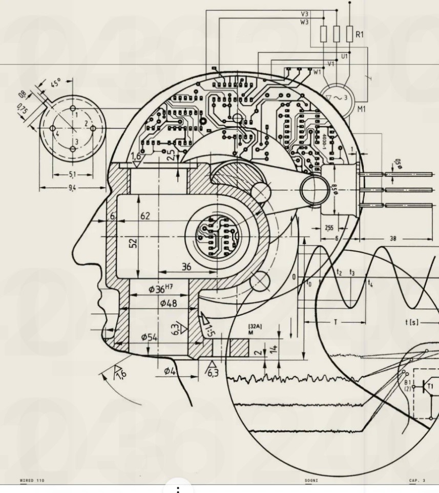 “Usatelo o lo perderete”: la riserva cognitiva come protezione del cervello